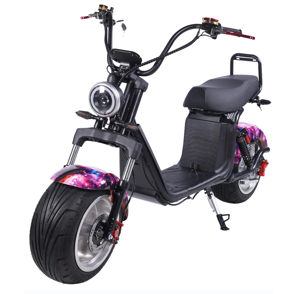 2000W 3000W High Power Motor off-Road 60V 12/20/30ah 70km/H Electric Bicycle Scooter