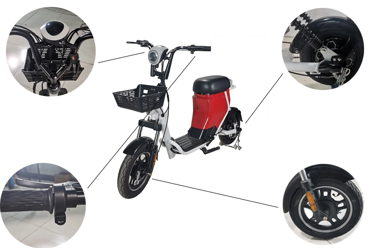 2023 500W Electric Scooter Lead Acid/Lithium Battery Electric Bicycle Hot Selling High Quality Cheap CKD