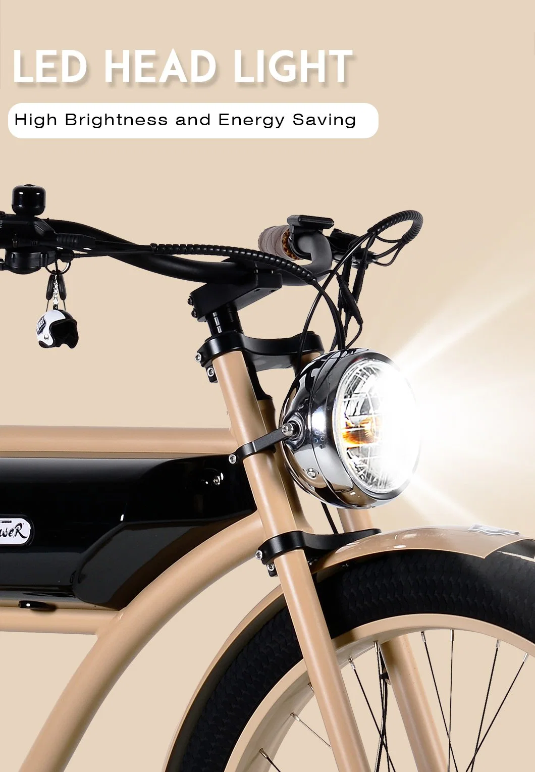 Adult Electric Bicycle with 3.0 X 26 Inch Big Wheel Electric Motorcycles with EEC