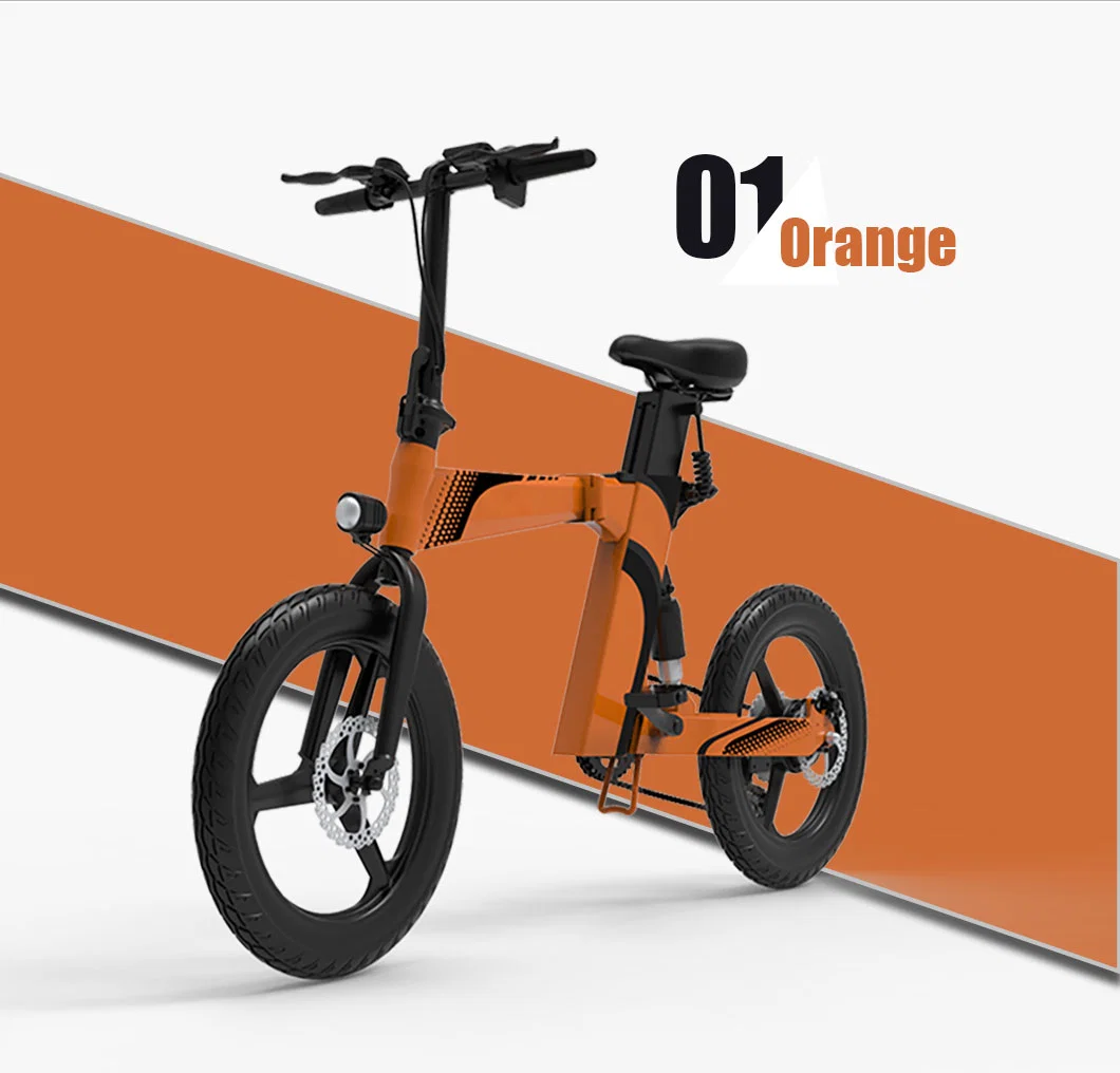 ODM/OEM for Women/Men 16ah Electric Bike Electric Folding Bike