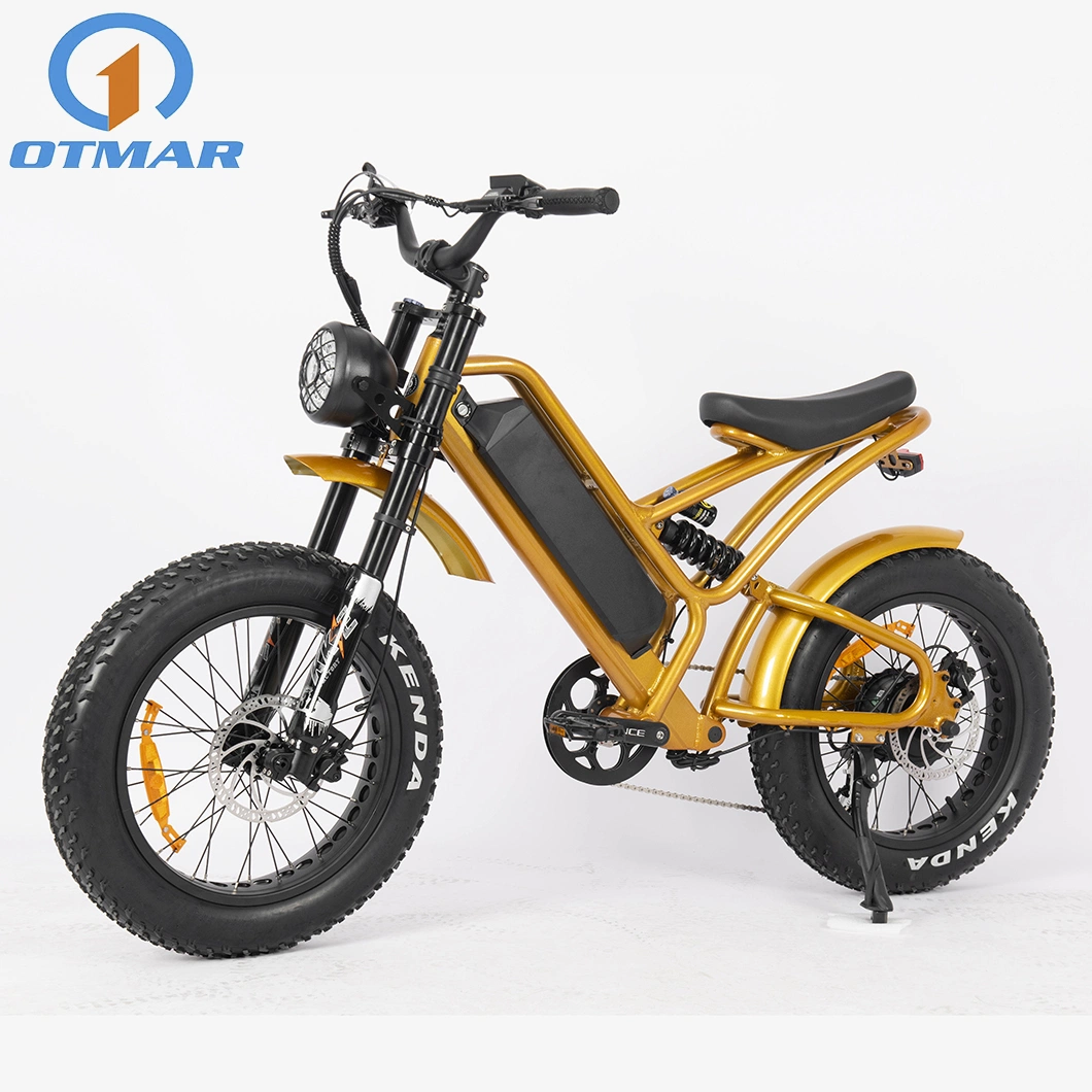 Hot Sale China E Bike Manufacturer Electric Fat Bike Retro Rear Motor Mountain E Bike Full Suspension New Model Fat Tire Motorcycle for Adults