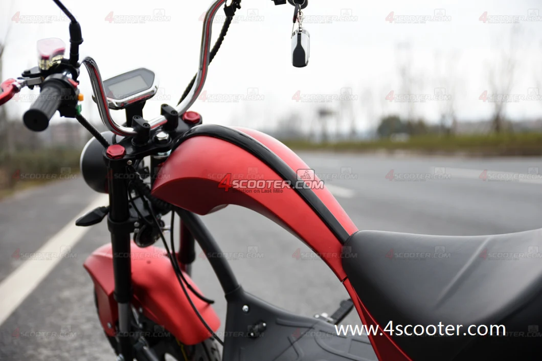 Good Price Best Selling Electric Chopper 2 Wheel Bicycle Citycoco Moped Electric