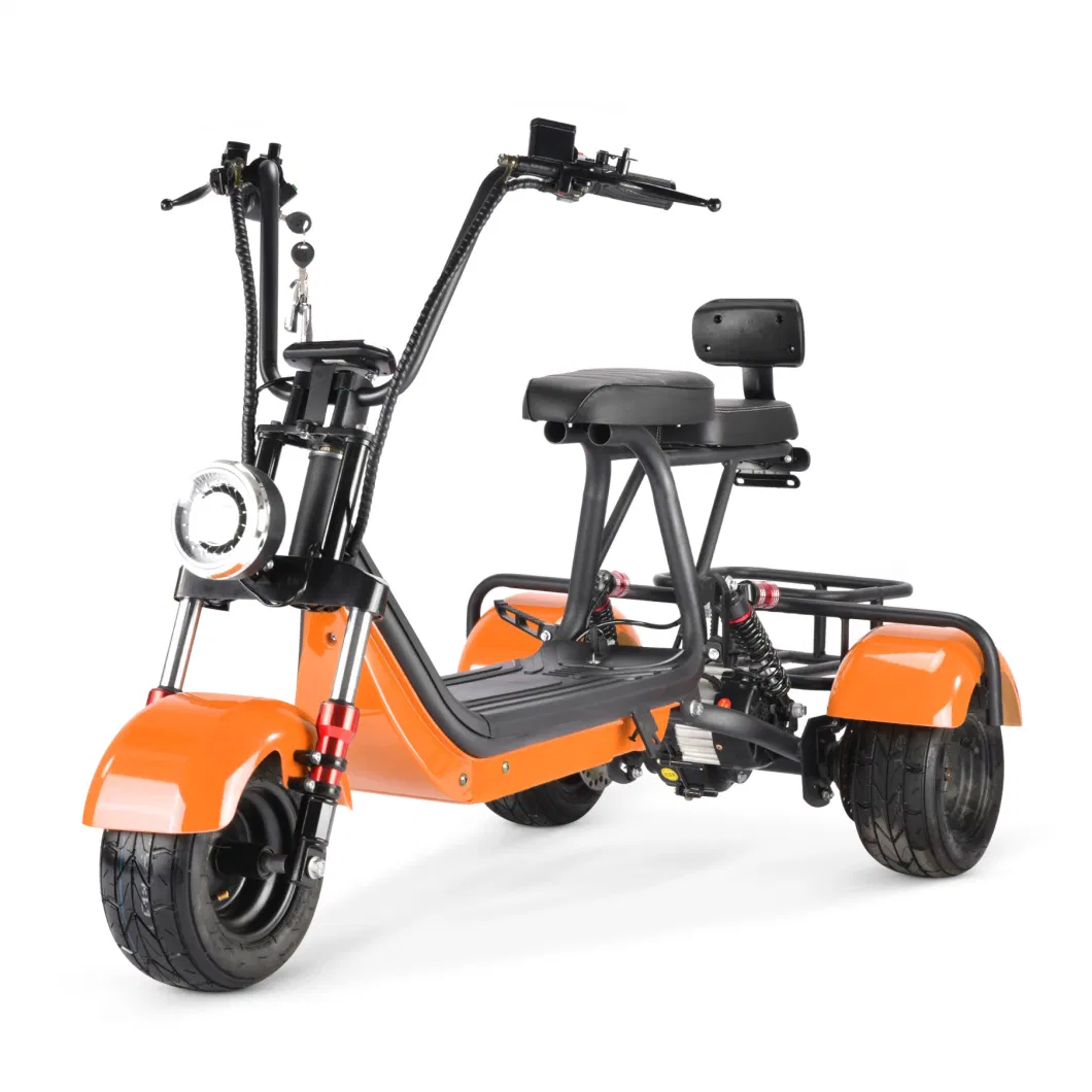 New Arrival Mini Electric Scooter Adults Citycoco 800W Bike