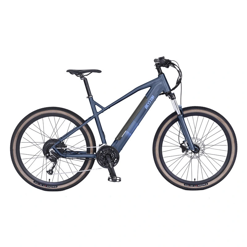 2023 New Electric Mountain Bicycle 26 Inch Electric Bike 29 Inch Ebike 29er Electric Mountain Bike