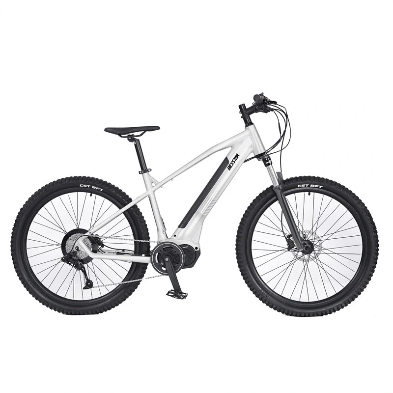 2023 New Electric Mountain Bicycle 26 Inch Electric Bike 29 Inch Ebike 29er Electric Mountain Bike