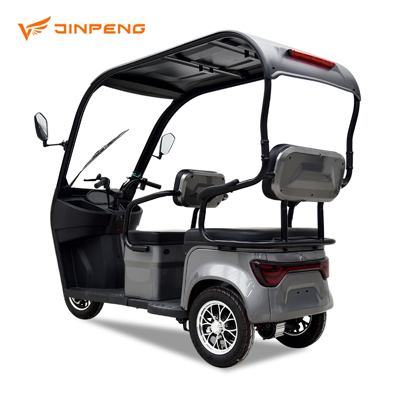 3 Wheel Electric Tricycle Three Wheels Adult Passenger Electric Bike