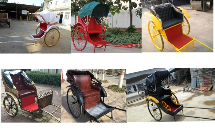 Top Quality 2 Wheel Electric Rickshaw/Electric Rickshaw for Exhibition