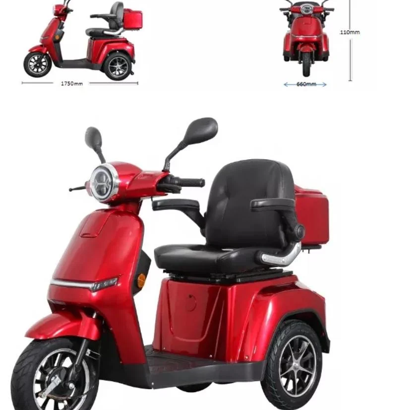 EEC 1000W Electric 3 Wheels Electric Tricycle Adult