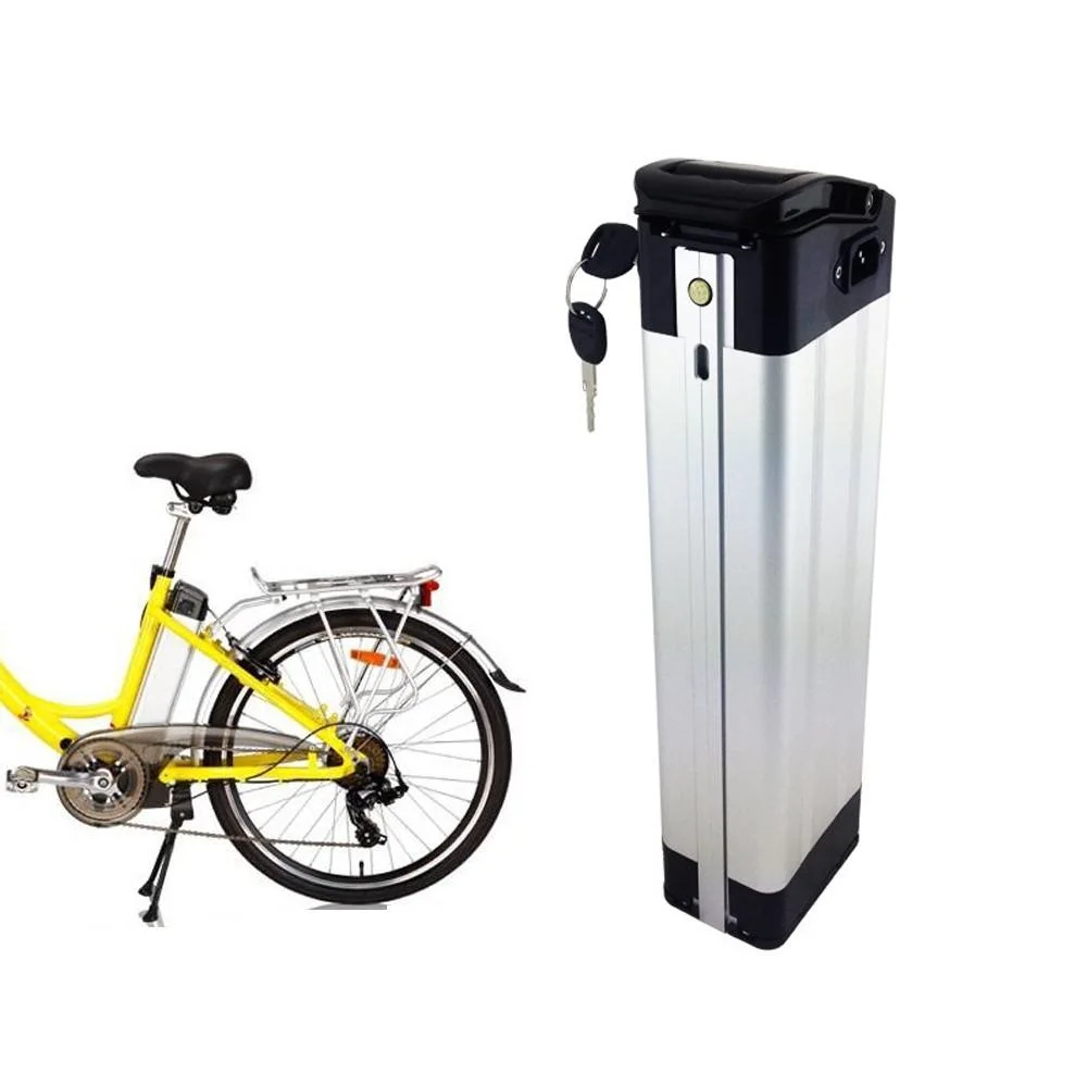 Customized 18650 Li-ion E-Bike Battery Hot Sale Cruiser City MTB Trike Fat Bike LiFePO4 Battery