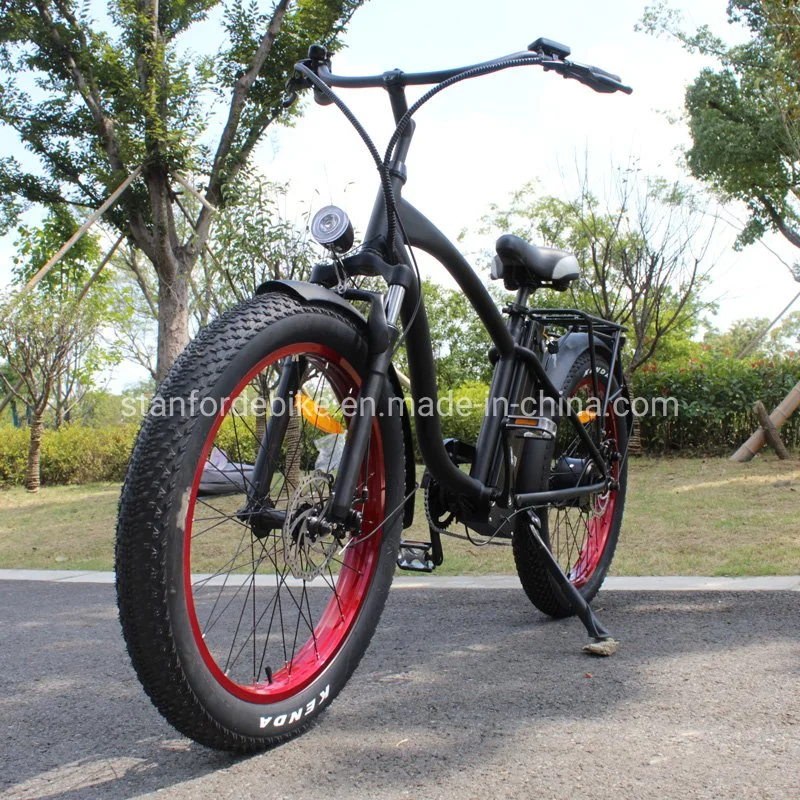 Cheapest 2 Seat 48 Volt Battery Speedy Electric Bicycle