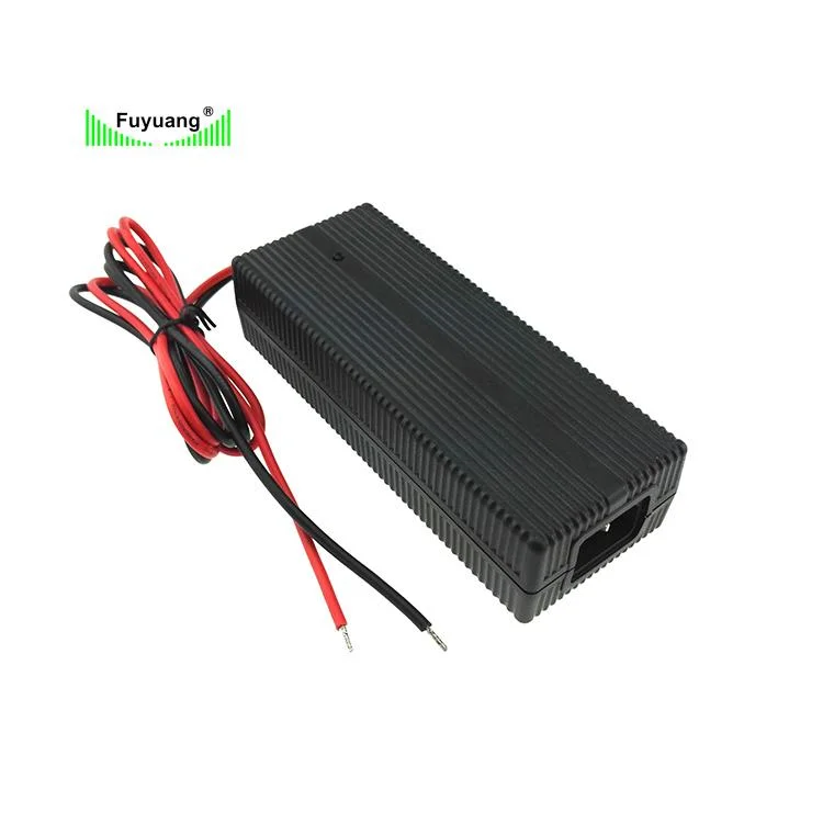 Fuyuang ODM OEM Customized 24V 29.4V 2A 3A 4A 5A 6A 7A 10A 13A 20A Electric Scooter E Bike Bicycle Golf Cart Li Ion Lithium Battery Charger