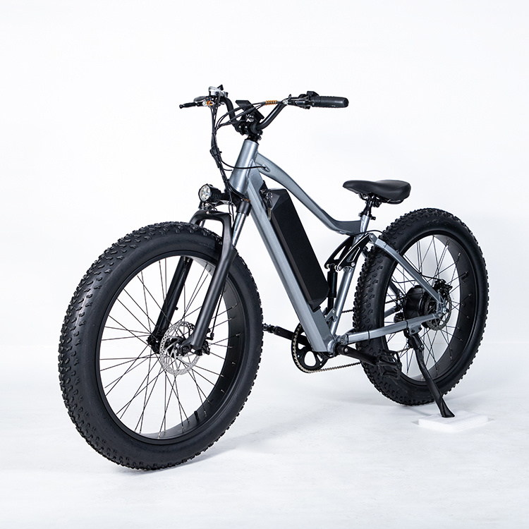 The Factory Supplies High-Quality Electric Bicycles. The Popular Two Wheeled Bicycles Are Electric Bike