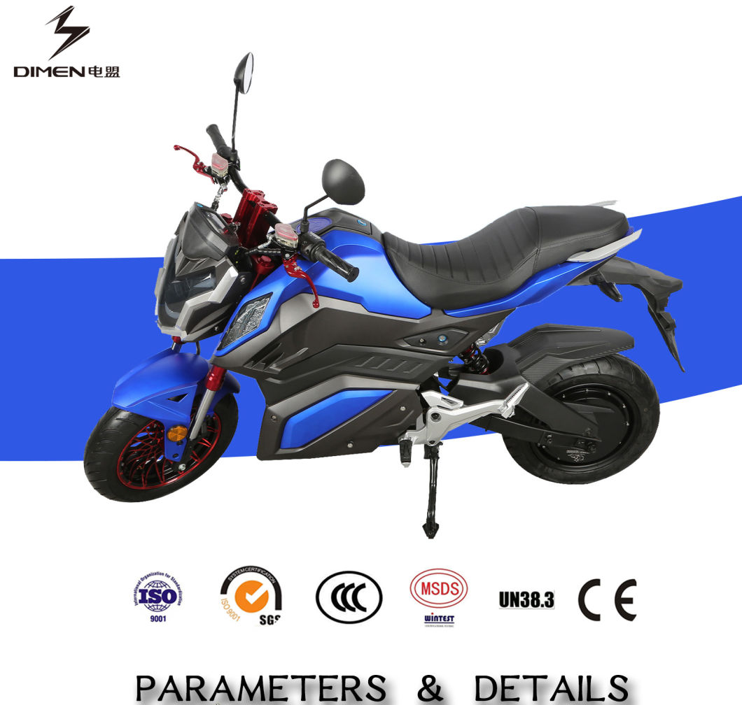 Two Wheels Electric Racing Bike 3000W Motor 75km/H Speed Electric Motorcycle