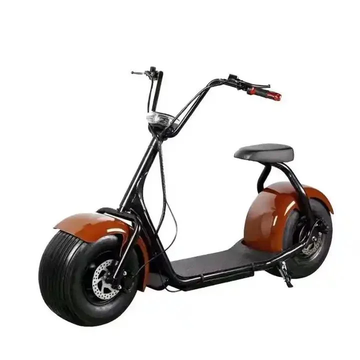 Hot Sale Electric Scooter 48/60V 20ah 2 Seats E Bike Electric Bicycle