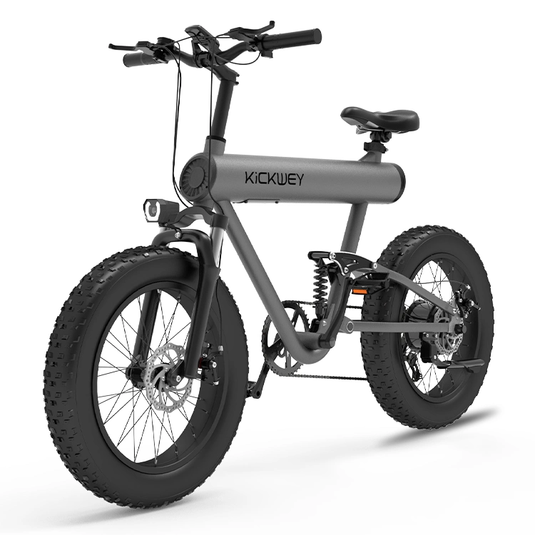 Cheap 500W 750W 1000W Two Wheel Electric Bike for Adult