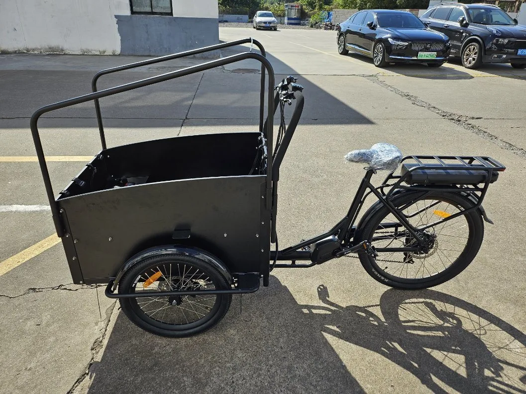 China Manufacturer Good Quality Family Used Electrico Triciclo 36V250W Fat Tire Rear 3 Wheel Hub Motor Electric Cargo Transport Tricycle