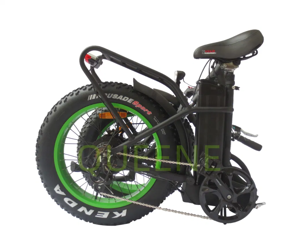 Queene ODM 26*4.0 Inch Fat Tire Electric Bicycle 750W 500W Motor Snow Mountain Bike