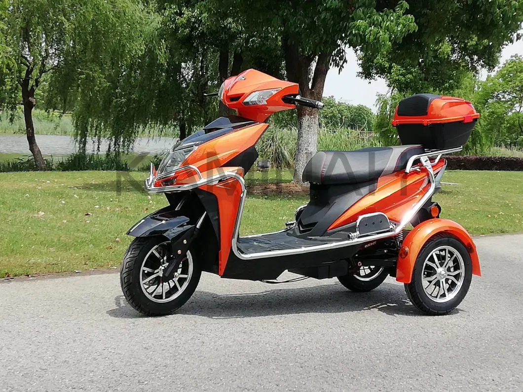 Cargo 3wheels Vehicle Electric Motorcycle Three Wheels Electric Scooter for Passanger SL