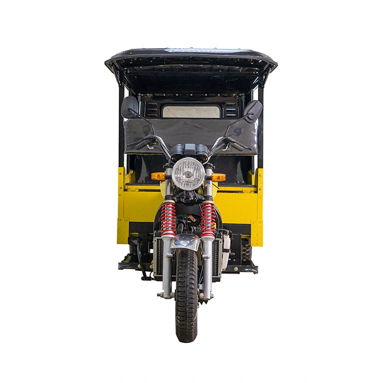 Hot-Sell 200cc Motorized Cargo High Cost Performancenew Designed Gasoline Tricycle with Roof/Sunshade