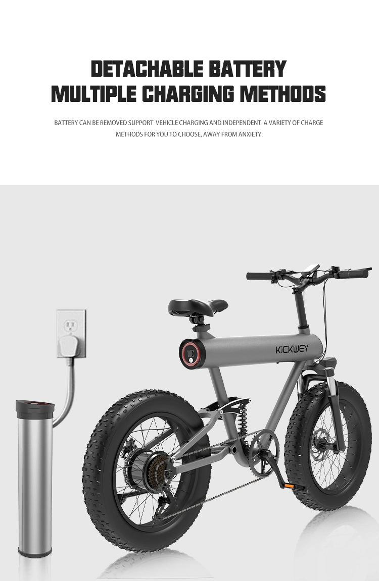 Urban Commuting Electric Bikes for Adults