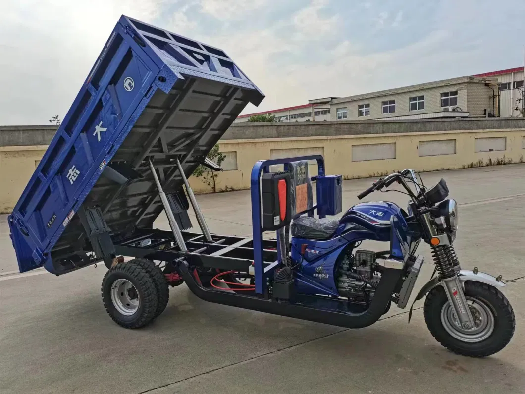EU Hot Selling EEC Electric Tricycles 3 Wheel Electric Cargo Bike