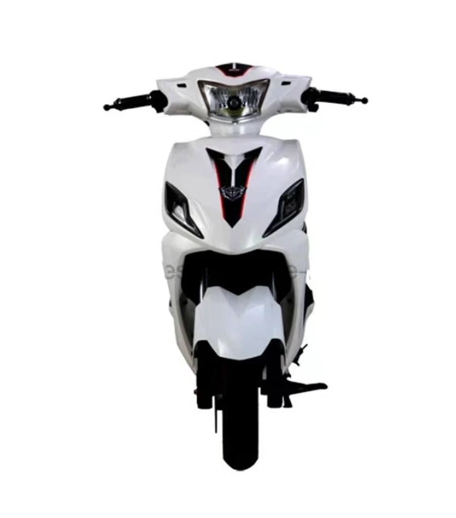1200W~3000W DC Brushless Motor Long Range E-Bike/Motorcycle/E-Scooter