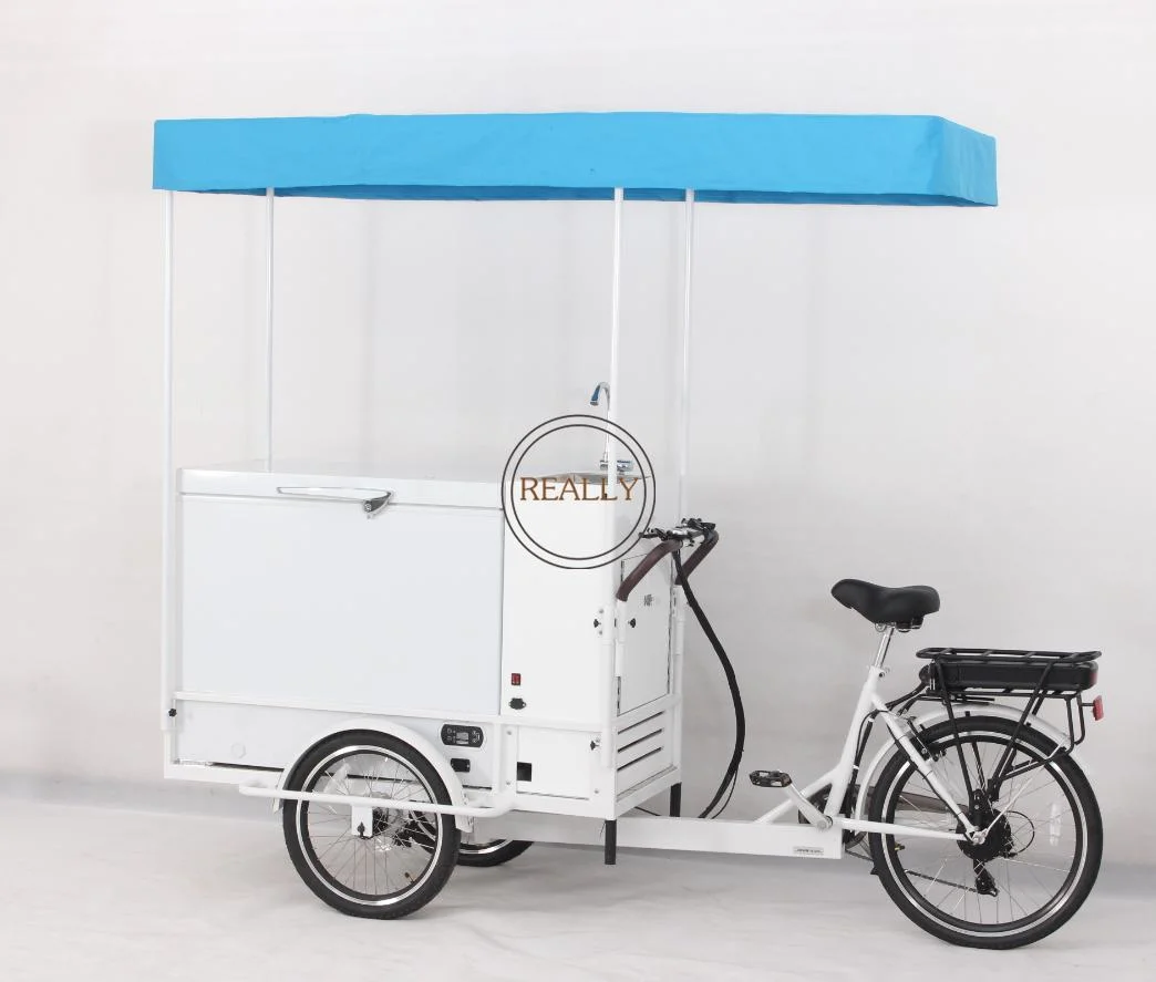 Stylish Mobile Ice Cream Bike with Sink Cold Water Truck Street Stall Food Electric Tricycle