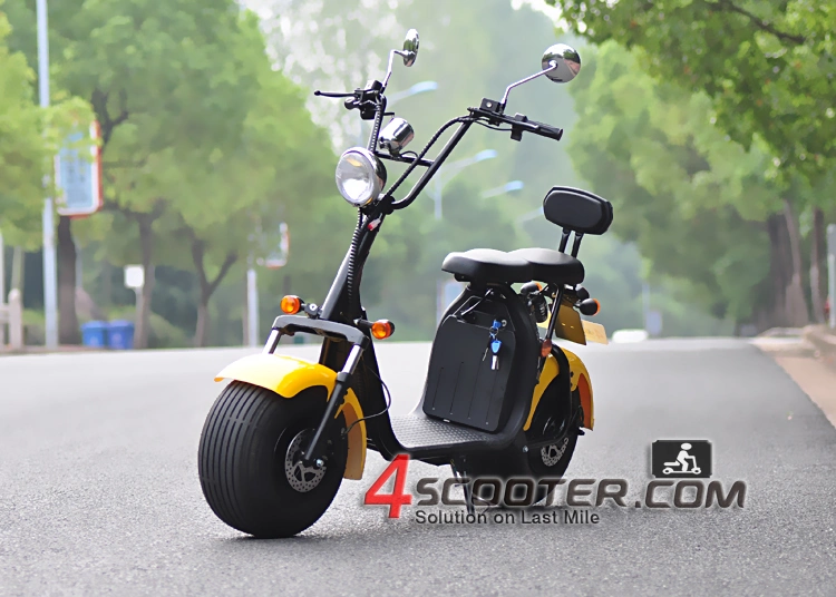 Powerful High Speed Practical Delivery 2 Wheel Bicycle Citycoco Moped Electric Scooter