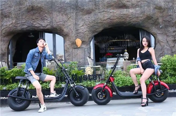 1500W 2000W Citycoco Fat Tire Electric Scooter Moto Electrica EU Approval EEC Coc Electric Motorcycle Citycoco