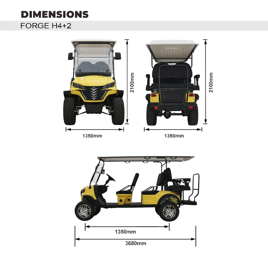 Mini Factory 48V China Golf Cart Electric Golf Car Golf Buggy Price Forge H4+2