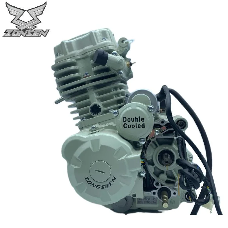 OEM Zongshen motorcycle 300cc High Displacement Water-Cooled Engine Fit for Three-Wheels Moto Freight