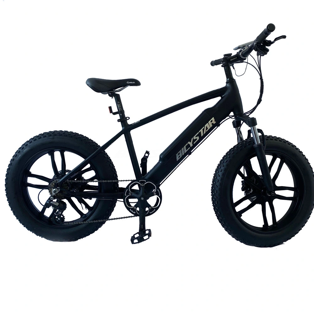 Ecycle Electric Bicycle Ebike Bike Electric Bikes 500W Electric Bicycle Fat Bike