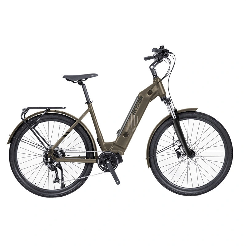 26 Inch E Bike Electric Bicycle Electric Bike