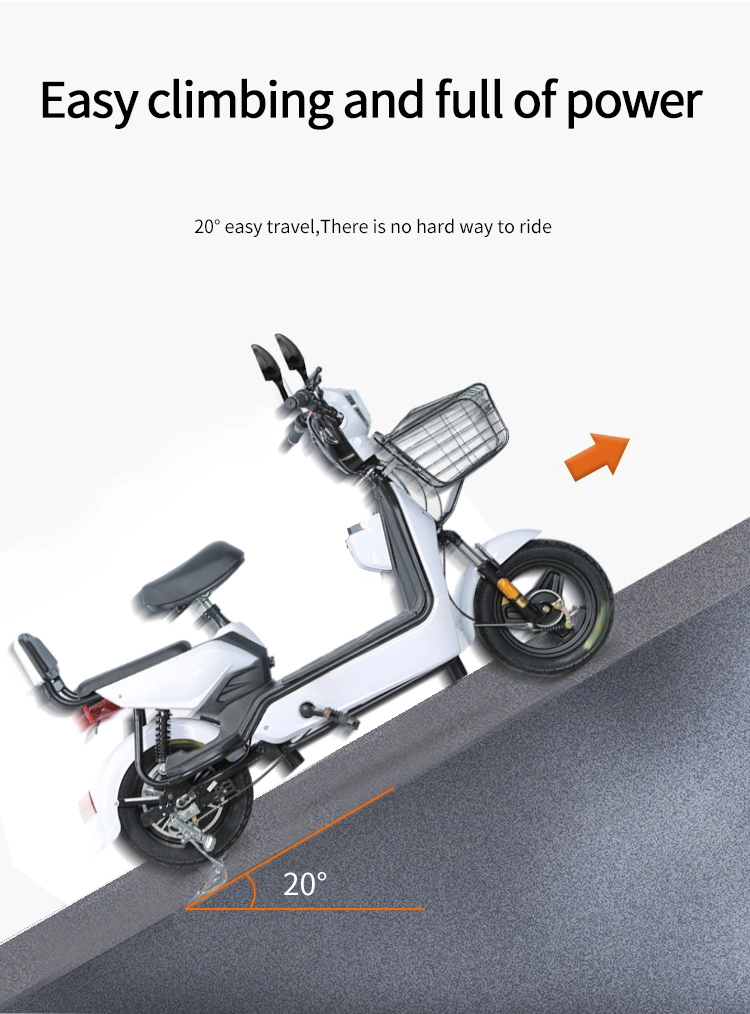 Tjhm-007ss Electric Tricycles Bicycle Scooter Electric Adult Ebike Electric Bike Electric Bike Electric Electric Dirt Bike