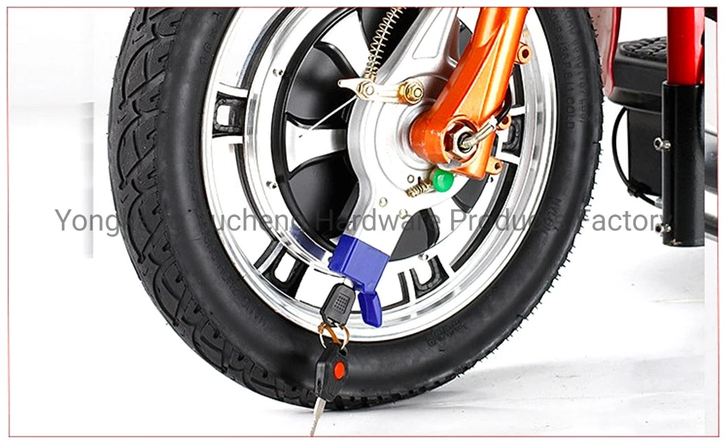 Zappy 3-Wheel Electric Tricycle Adult Motor Bicycle