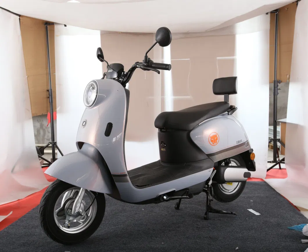 Promotion 1200W Electric Scooter for Daily Commuting/Shopping/Picking Kids