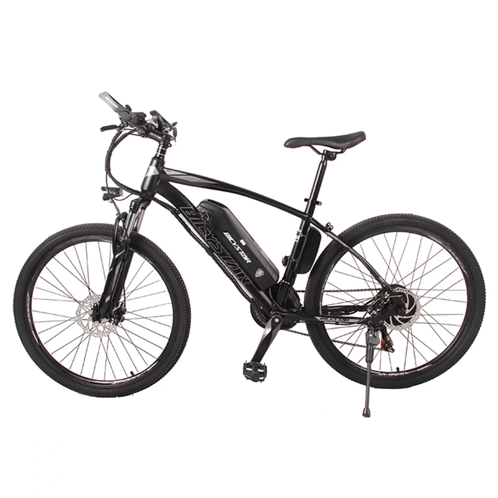 Road Bike 1000W Bike Racing City Bikebikesharing Bike Snow Bike Speed Bicycle Bike