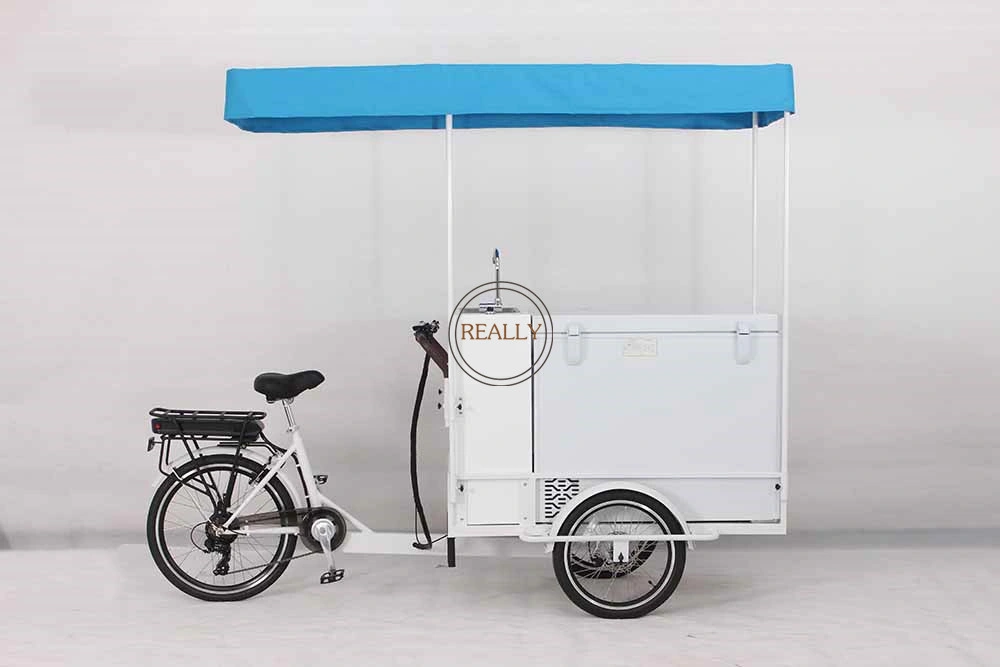 Stylish Mobile Ice Cream Bike with Sink Cold Water Truck Street Stall Food Electric Tricycle