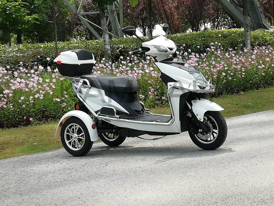 Cargo 3wheels Vehicle Electric Motorcycle Three Wheels Electric Scooter for Passanger SL