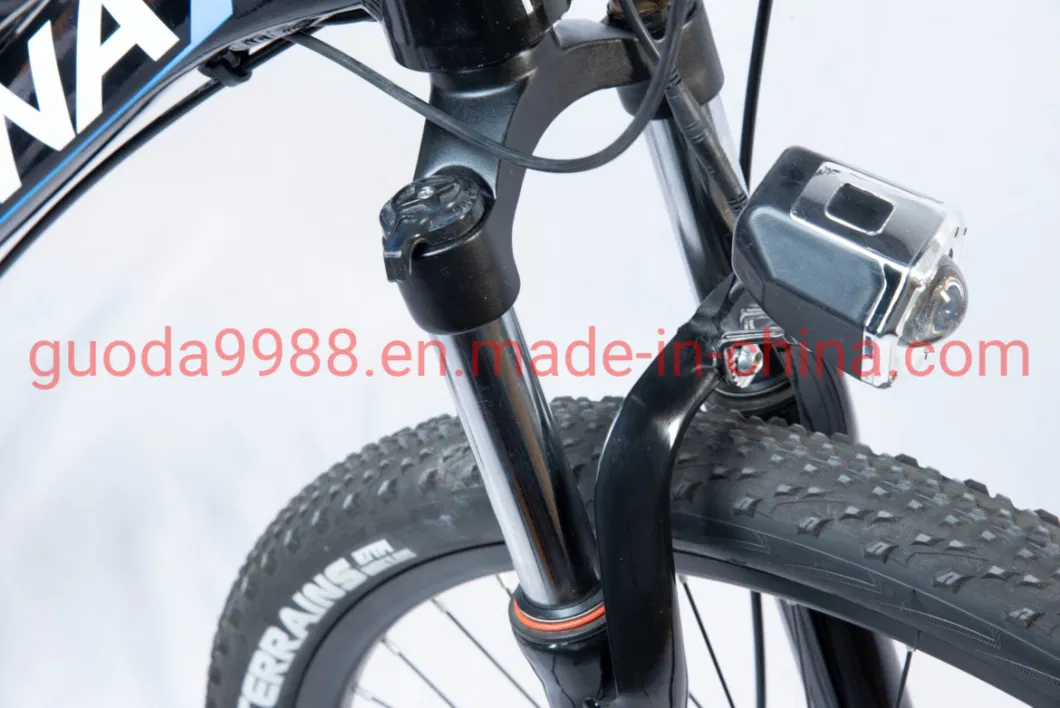 36V 300W Lithium Battery Electric Bicycle Mountain Ebike