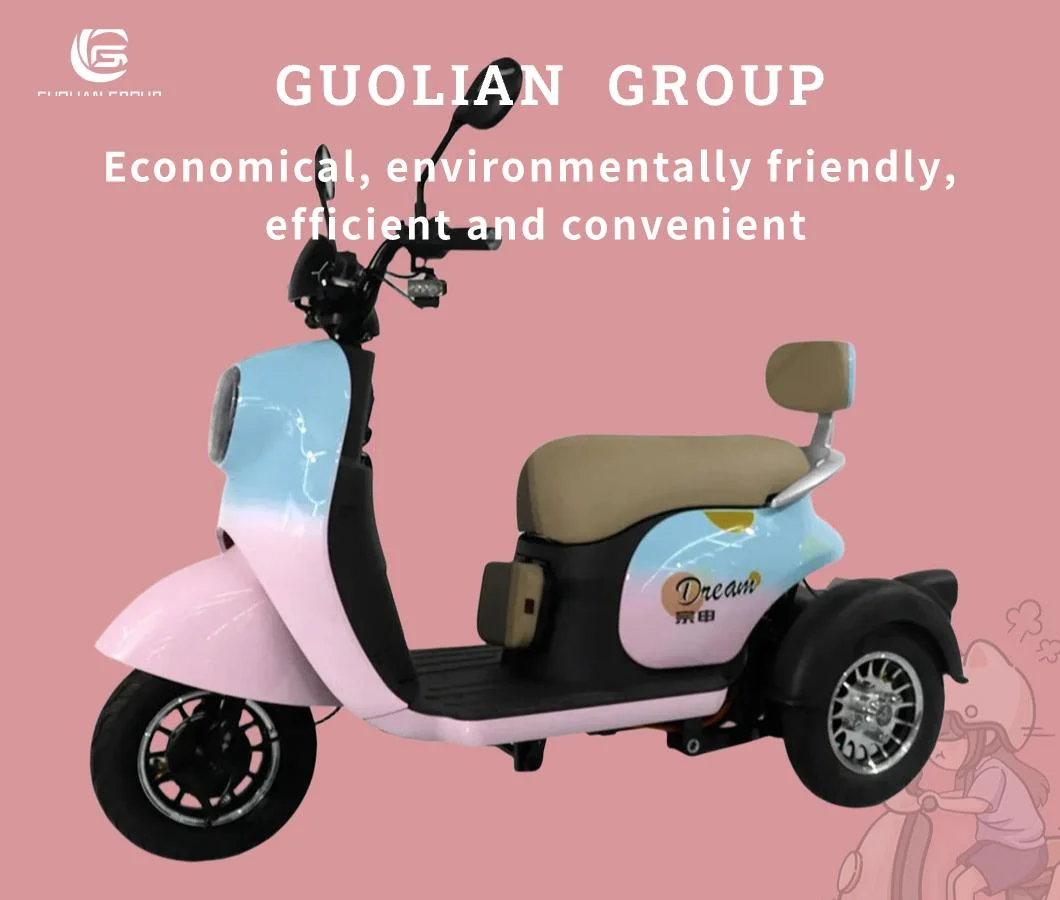 1000W 60V Fat Tyre Three Wheels Electric Scooter, Electric Vehicle, Electric Tricycle for Passenger or Disabled