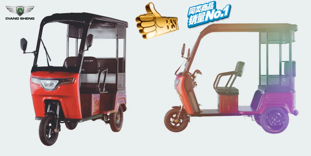 Moto Cycle Trike Electric Vehicles for Disabled Electric Rickshaw and Electric Tricycle China for Russia