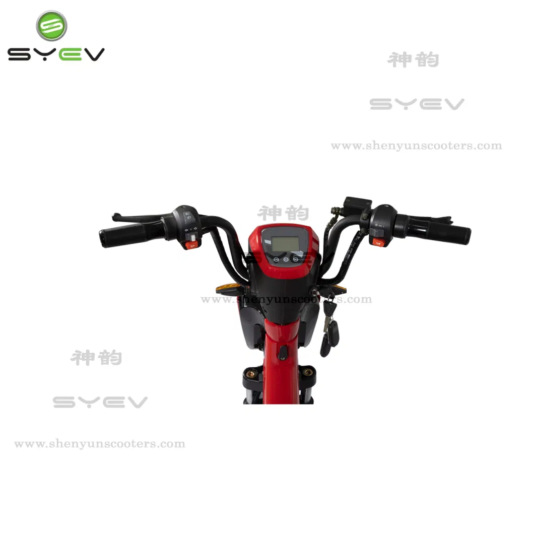 Intelligent Electric Bike Scooter with USB Charger 350W or 500W Motor Pedal Assistance