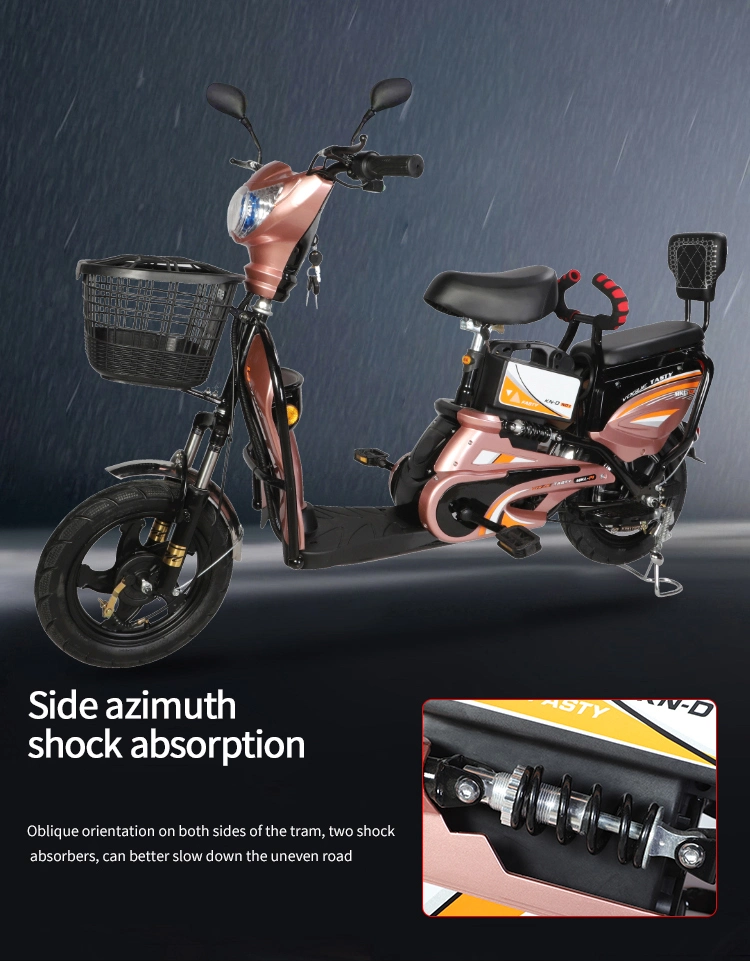 Tjhm-006QQ Two Seat Electric Bike 48V 12ah Electrical Scooter Bike Woman Electric Bicycle Low Price