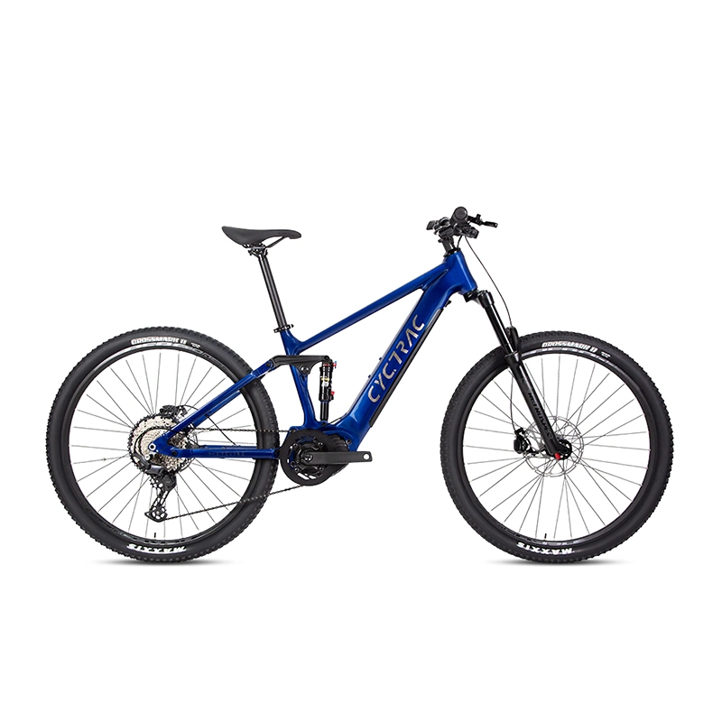 Galaxy Factory OEM Electric Bicycle 500W Big Power E Bike Full Suspension Electric Mountain Bike