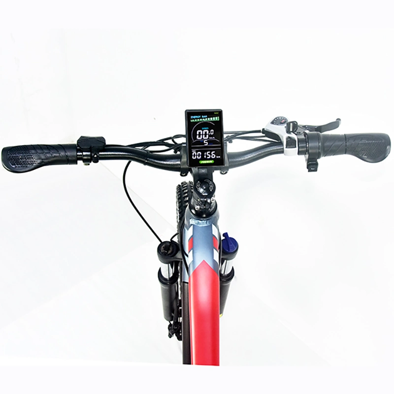 Snow Electric Bicycle Electric Bike 750W Motor Ebike Aluminium Alloy