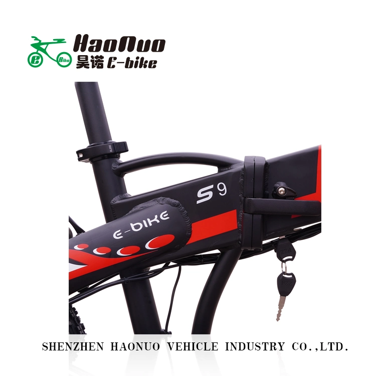 2022 New Model Folding 20 Inch 48V 500watt Electric Bike with Fat Tyre