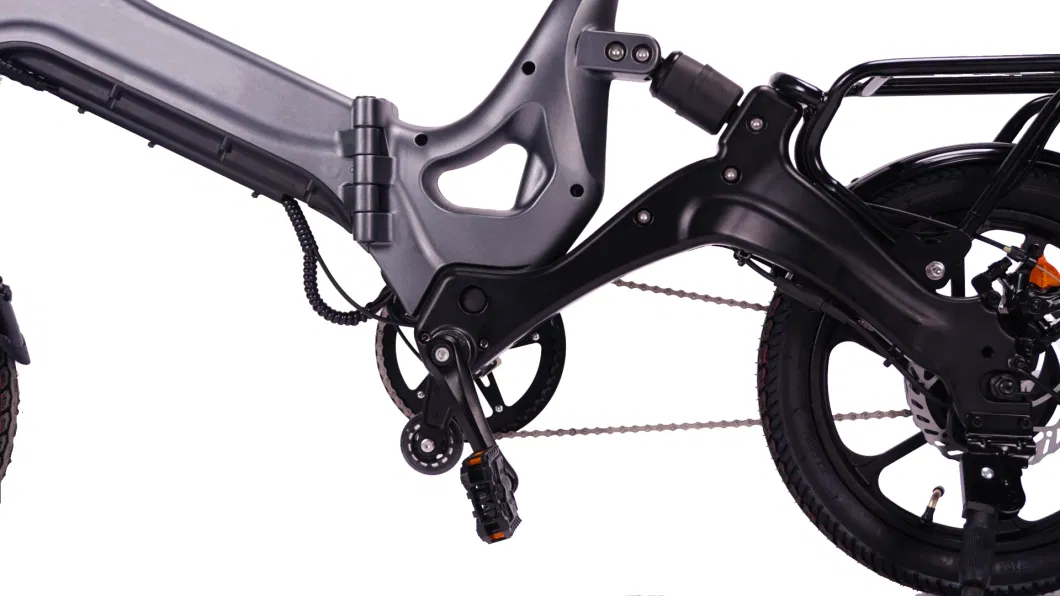 36V 350W 24 Inch Elithium Battery Electric Bike Sport Enduro Ebike Electric Folding Bike