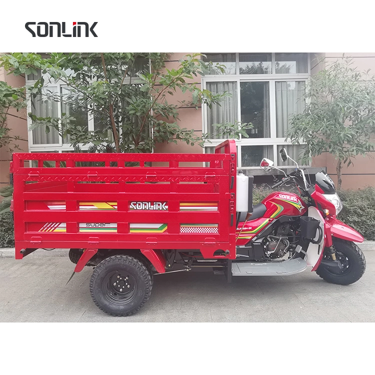 2023 Sonlink Factory Gasoline 250cc 5 Wheels Motorized Tricycle Adult Cargo Motorcycle Moto