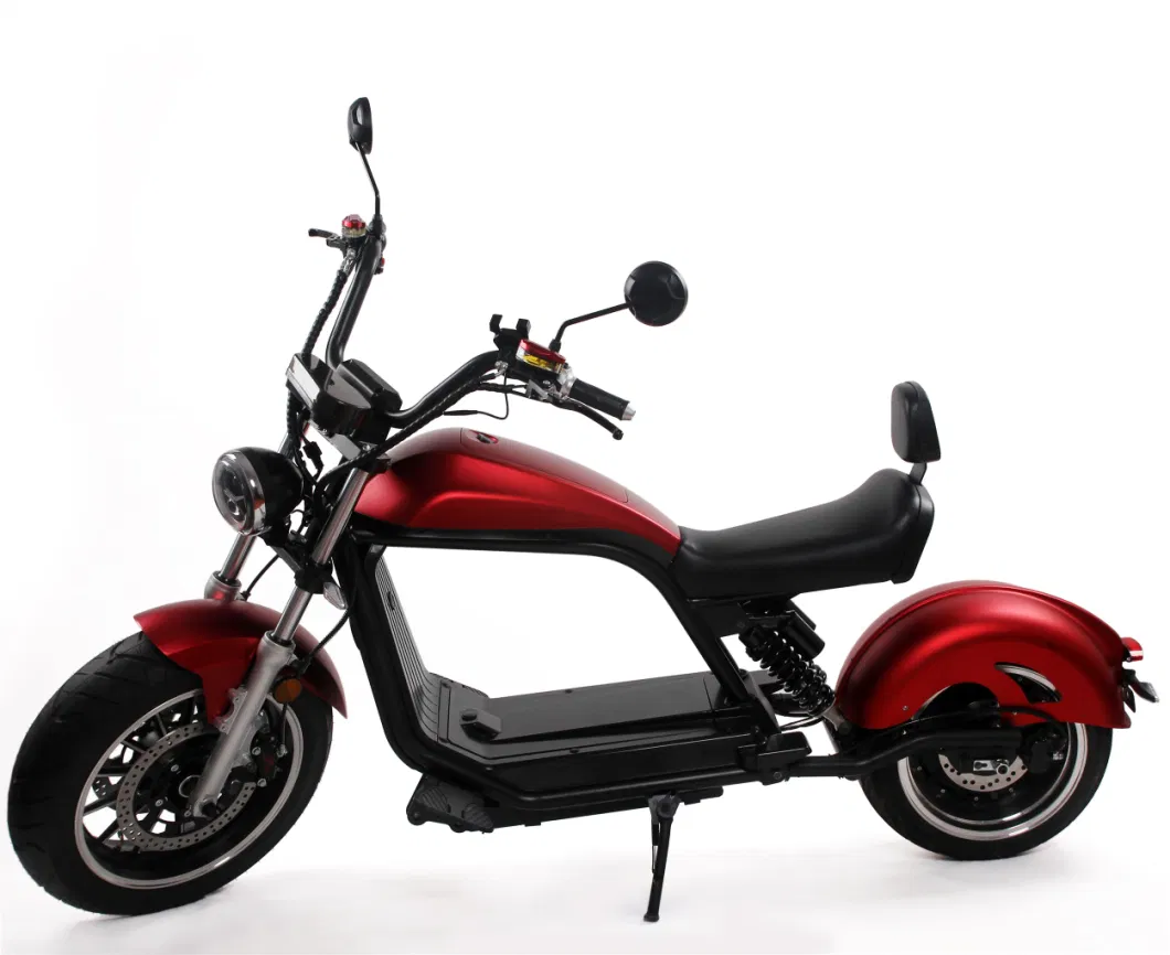 2023 Innovative Design Professional E Bike Multifunctional System Popular Luqi Electric Citycoco Scooter